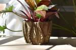 6" Octopus Tentacles Undersea Planter