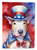 Patriotic American Decorative Flag