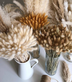 Dried Bunny Tail, Floral DÃ©cor (Color: White)