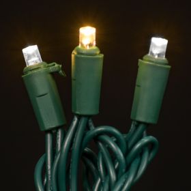 LED Concave 5MM Light Set, 70 Ct, 6" Spacing, 3 Wire (Option: Champagne)