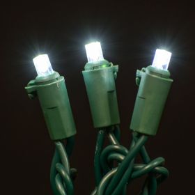 LED Concave 5MM Light Set, 70 Ct, 6" Spacing, 3 Wire (Option: White)